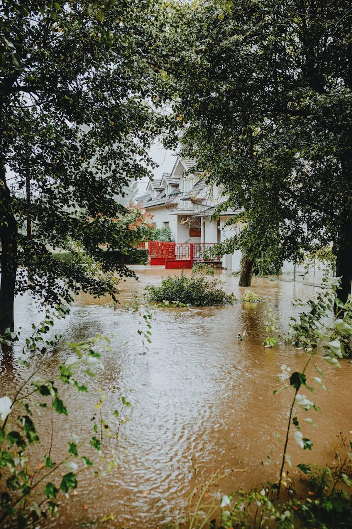 Flooded residential street with standing water around a house